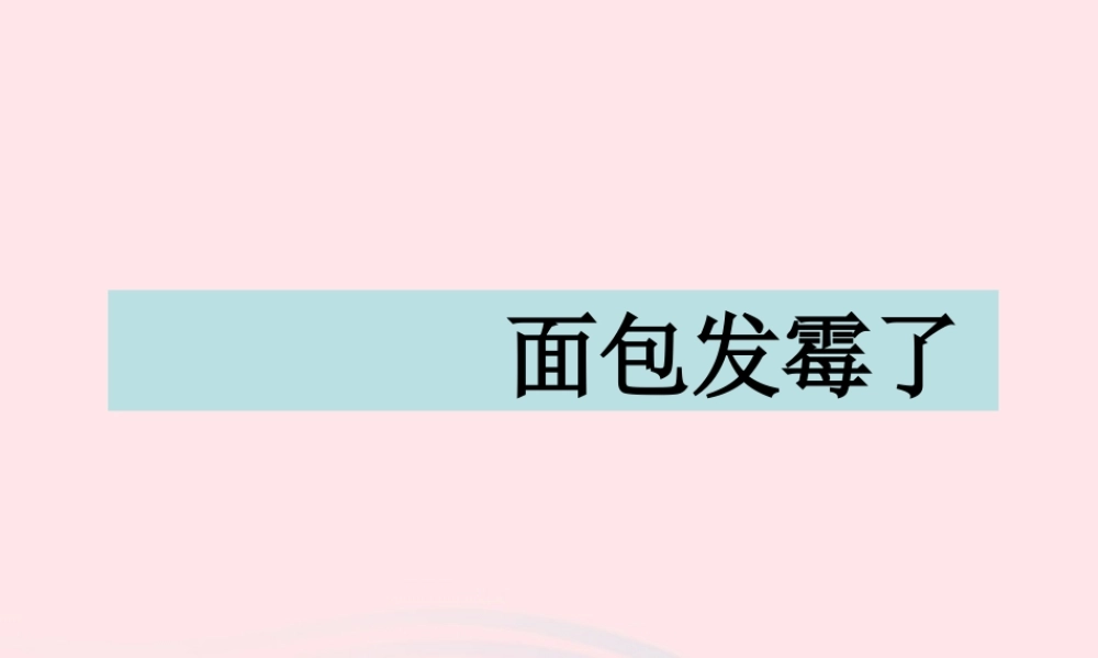 四年级科学下册 3 食物 5 面包发霉了课件2 教科版-教科版小学四年级下册自然科学课件