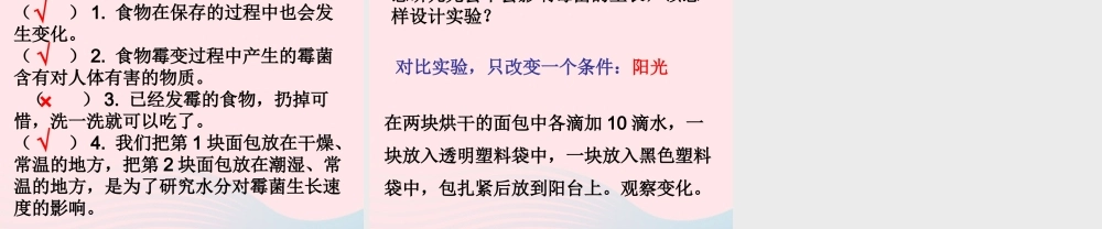 四年级科学下册 3 食物 5 面包发霉了课件2 教科版-教科版小学四年级下册自然科学课件