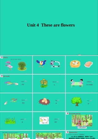 四年级英语上册 Unit 4 These are flowers课件+素材 湘少版