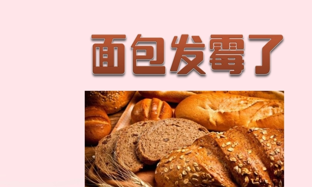 四年级科学下册 3 食物 5 面包发霉了课件3 教科版-教科版小学四年级下册自然科学课件