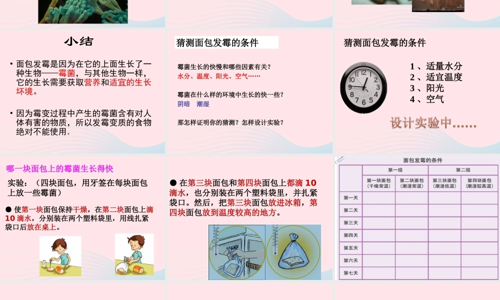 四年级科学下册 3 食物 5 面包发霉了课件3 教科版-教科版小学四年级下册自然科学课件