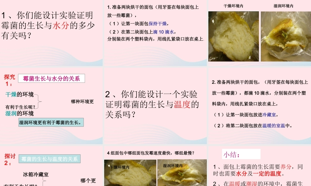 四年级科学下册 3 食物 5 面包发霉了课件3 教科版-教科版小学四年级下册自然科学课件