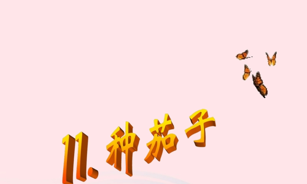 四年级科学下册 第四单元 生长与变化 第11课《种茄子》课件1 冀教版-冀教版小学四年级下册自然科学课件