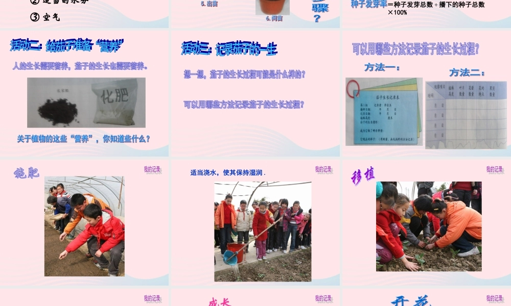 四年级科学下册 第四单元 生长与变化 第11课《种茄子》课件1 冀教版-冀教版小学四年级下册自然科学课件