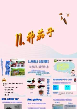 四年级科学下册 第四单元 生长与变化 第11课《种茄子》课件1 冀教版-冀教版小学四年级下册自然科学课件