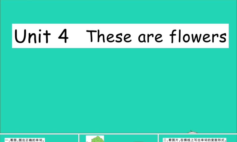 四年级英语上册 Unit 4 These are flowers作业课件 湘少版-湘少版小学四年级上册英语课件