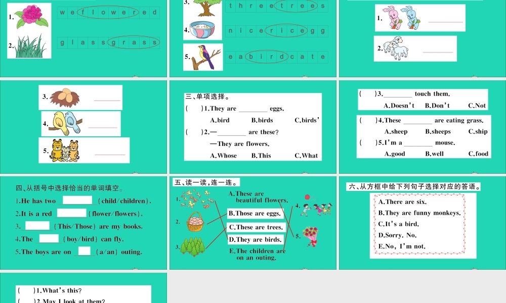 四年级英语上册 Unit 4 These are flowers作业课件 湘少版-湘少版小学四年级上册英语课件