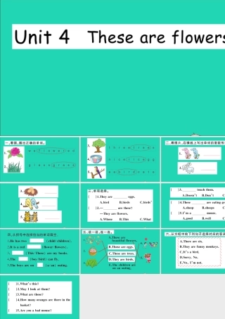 四年级英语上册 Unit 4 These are flowers作业课件 湘少版-湘少版小学四年级上册英语课件