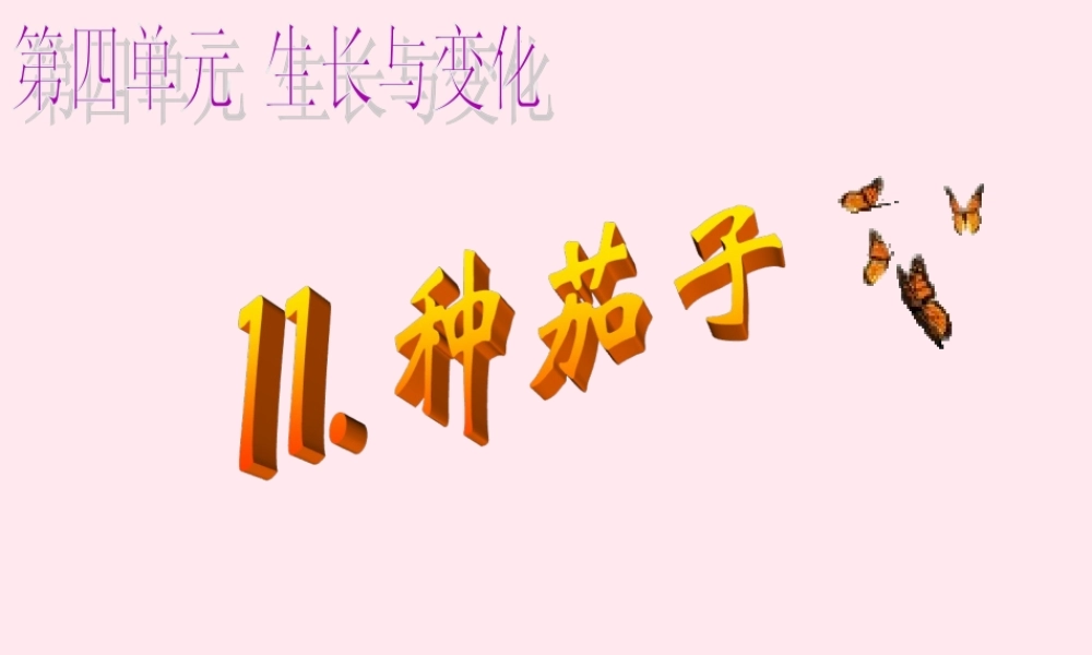 四年级科学下册 第四单元 生长与变化 第11课《种茄子》课件2 冀教版-冀教版小学四年级下册自然科学课件