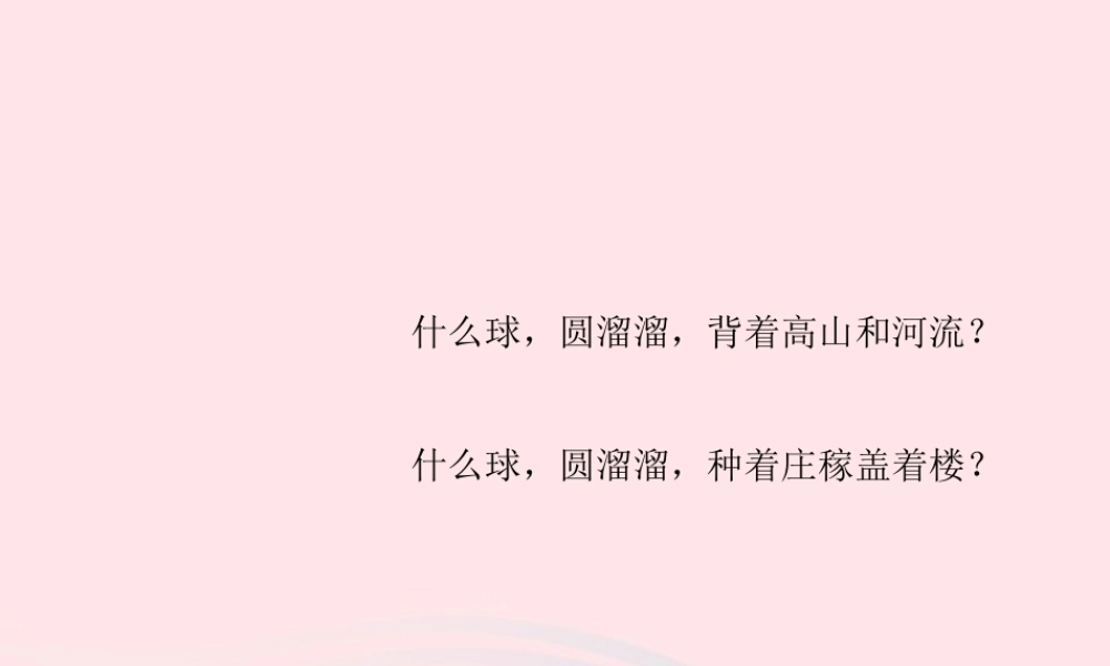 四年级科学上册 第五单元 我们的家园——地球 第19课《地球上有什么》课件（4） 青岛版五四制-青岛版小学四年级上册自然科学课件