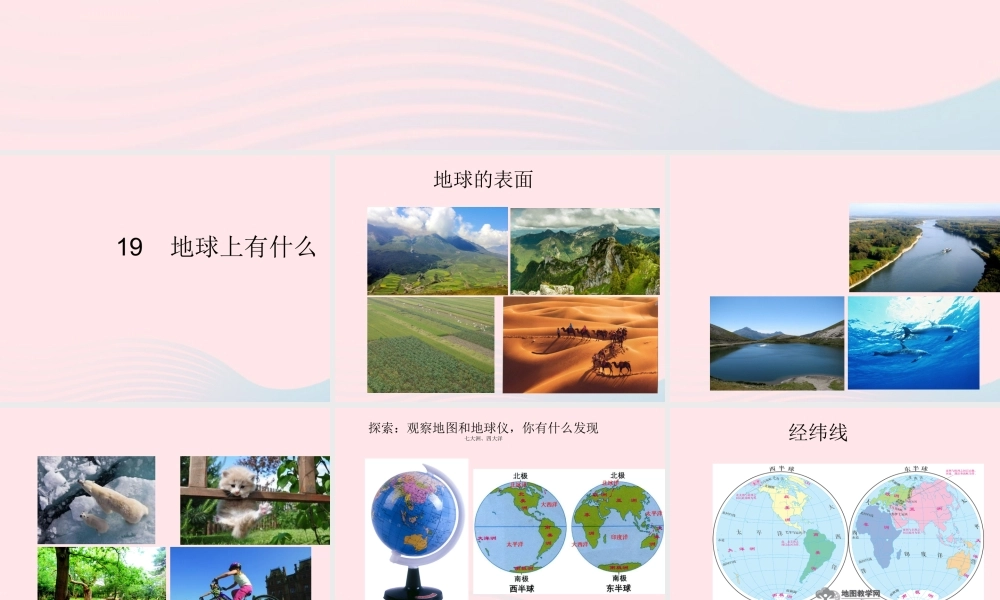 四年级科学上册 第五单元 我们的家园——地球 第19课《地球上有什么》课件（4） 青岛版五四制-青岛版小学四年级上册自然科学课件