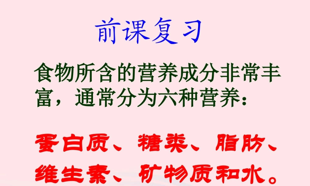 四年级科学下册 3 食物 5 面包发霉了课件4 教科版-教科版小学四年级下册自然科学课件