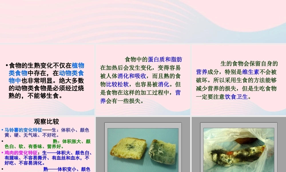 四年级科学下册 3 食物 5 面包发霉了课件4 教科版-教科版小学四年级下册自然科学课件