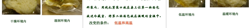 四年级科学下册 3 食物 5 面包发霉了课件4 教科版-教科版小学四年级下册自然科学课件