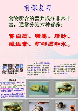 四年级科学下册 3 食物 5 面包发霉了课件4 教科版-教科版小学四年级下册自然科学课件