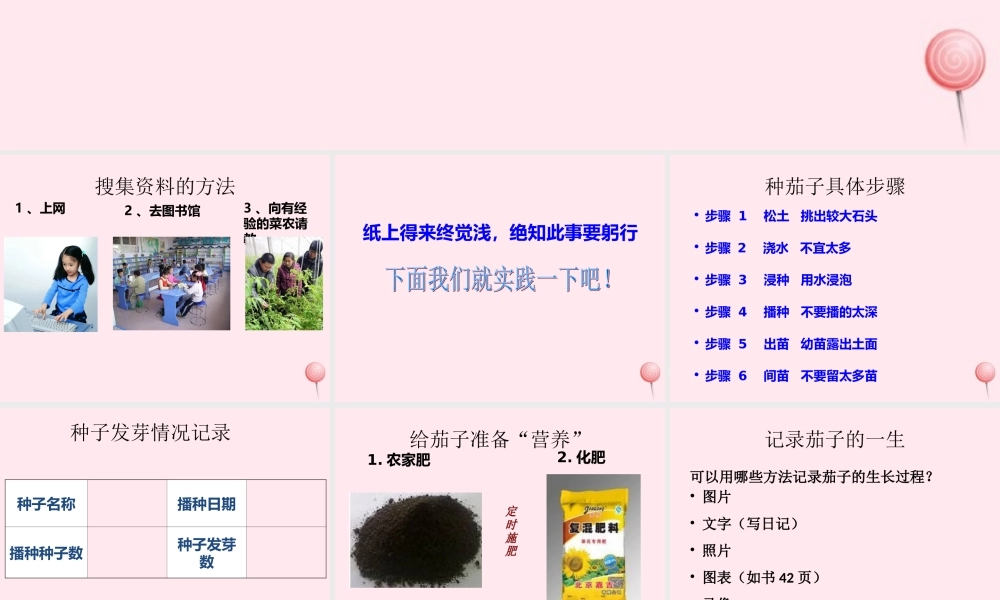 四年级科学下册 第四单元 生长与变化 第11课《种茄子》课件3 冀教版-冀教版小学四年级下册自然科学课件