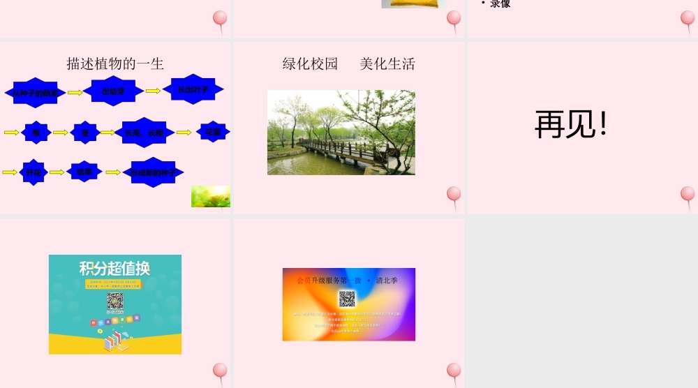 四年级科学下册 第四单元 生长与变化 第11课《种茄子》课件3 冀教版-冀教版小学四年级下册自然科学课件