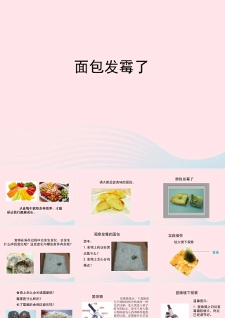四年级科学下册 3 食物 5 面包发霉了课件5 教科版-教科版小学四年级下册自然科学课件