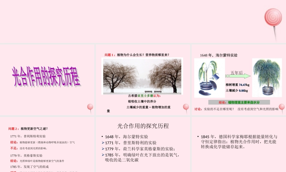 四年级科学下册 第四单元 生长与变化 第12课《植物的生长》课件 冀教版-冀教版小学四年级下册自然科学课件