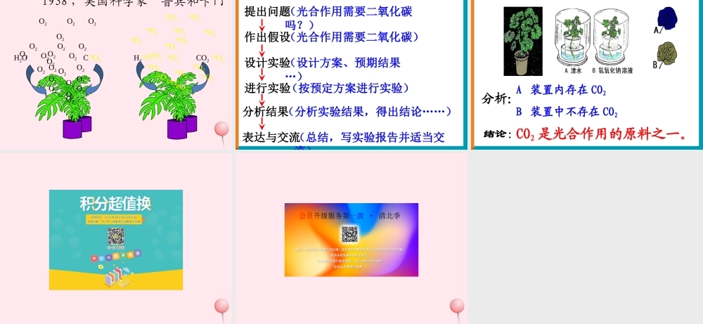 四年级科学下册 第四单元 生长与变化 第12课《植物的生长》课件 冀教版-冀教版小学四年级下册自然科学课件