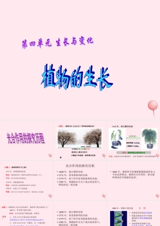 四年级科学下册 第四单元 生长与变化 第12课《植物的生长》课件 冀教版-冀教版小学四年级下册自然科学课件