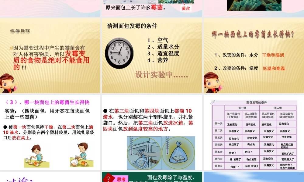 四年级科学下册 3 食物 5 面包发霉了课件6 教科版-教科版小学四年级下册自然科学课件