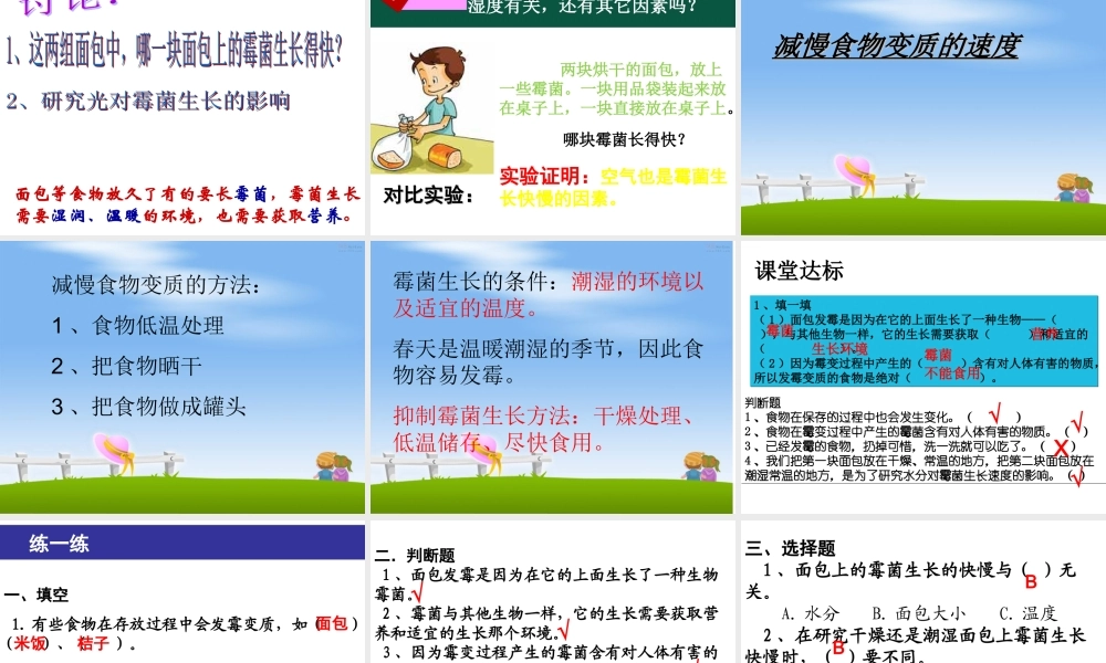 四年级科学下册 3 食物 5 面包发霉了课件6 教科版-教科版小学四年级下册自然科学课件