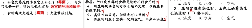 四年级科学下册 3 食物 5 面包发霉了课件6 教科版-教科版小学四年级下册自然科学课件