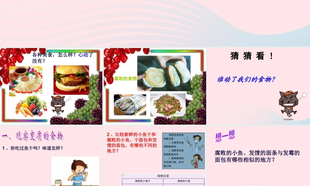 四年级科学下册 3 食物 6 减慢食物变质的速度课件 教科版-教科版小学四年级下册自然科学课件