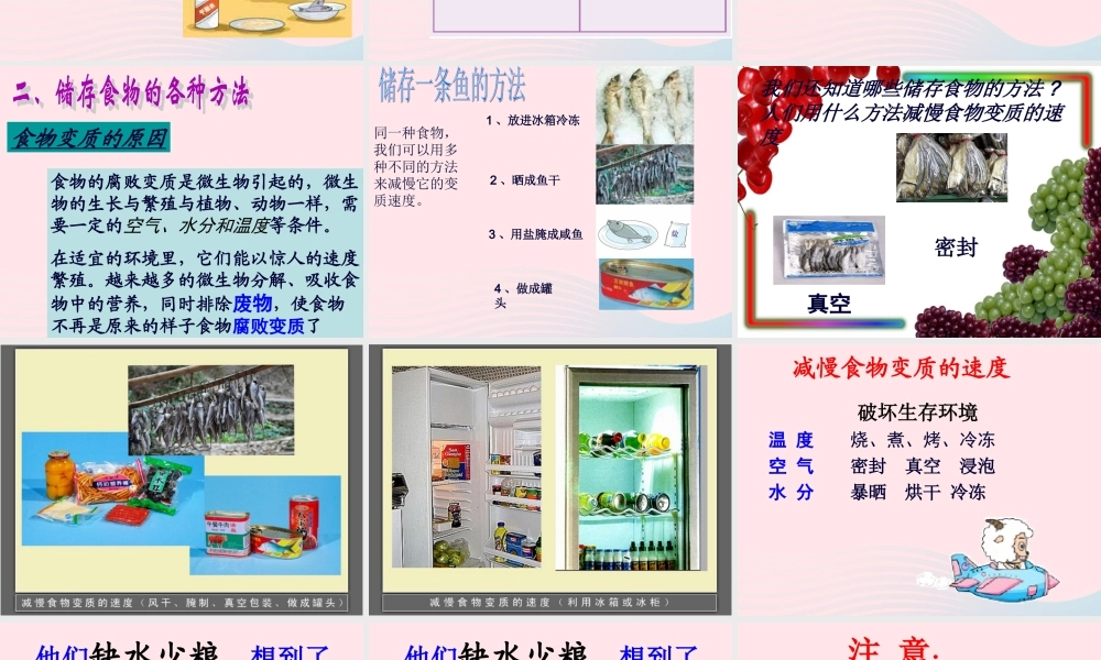 四年级科学下册 3 食物 6 减慢食物变质的速度课件 教科版-教科版小学四年级下册自然科学课件