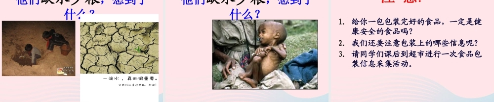 四年级科学下册 3 食物 6 减慢食物变质的速度课件 教科版-教科版小学四年级下册自然科学课件