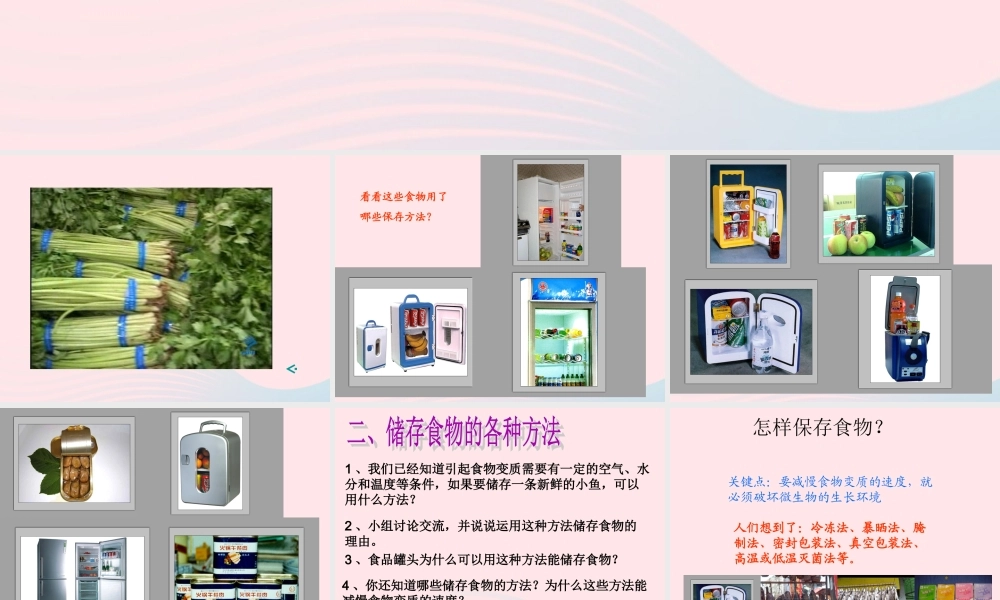 四年级科学下册 3 食物 6 减慢食物变质的速度课件1 教科版-教科版小学四年级下册自然科学课件