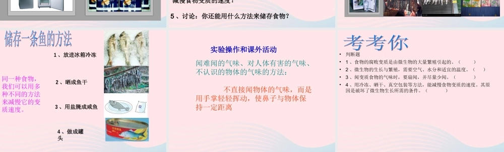 四年级科学下册 3 食物 6 减慢食物变质的速度课件1 教科版-教科版小学四年级下册自然科学课件