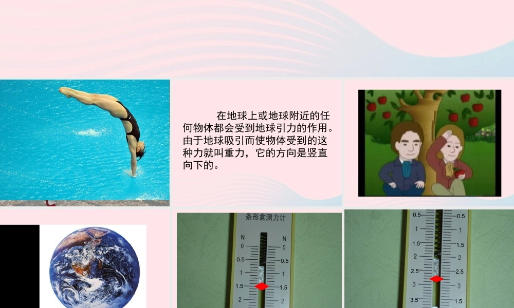 四年级科学上册 第五单元 我们的家园——地球 第21课《苹果为什么落地》课件（1） 青岛版五四制-青岛版小学四年级上册自然科学课件