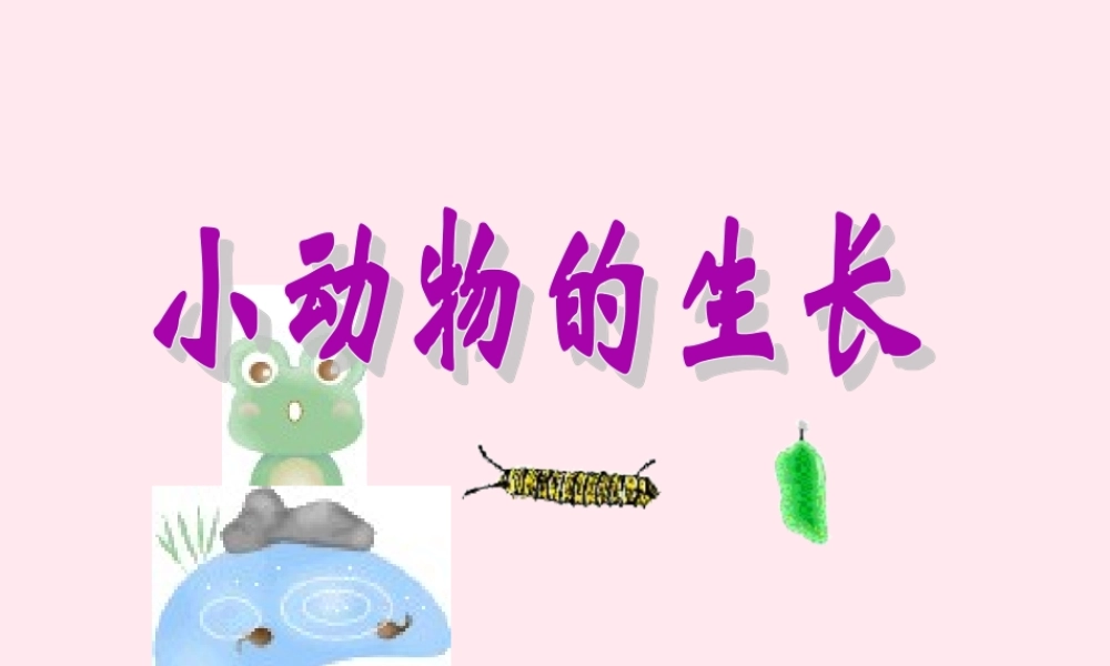 四年级科学下册 第四单元 生长与变化 第14课《小动物的生长》课件1 冀教版-冀教版小学四年级下册自然科学课件