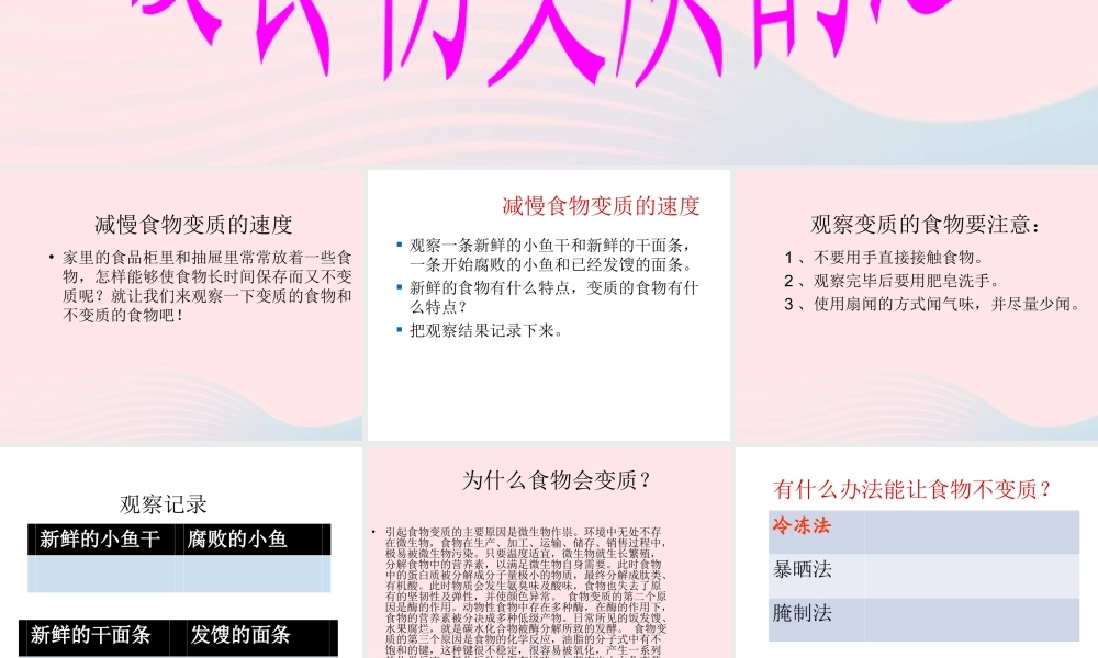 四年级科学下册 3 食物 6 减慢食物变质的速度课件2 教科版-教科版小学四年级下册自然科学课件