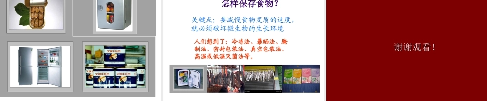 四年级科学下册 3 食物 6 减慢食物变质的速度课件2 教科版-教科版小学四年级下册自然科学课件