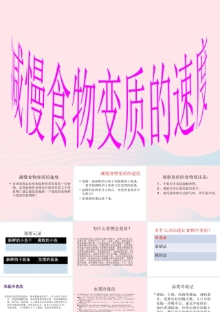 四年级科学下册 3 食物 6 减慢食物变质的速度课件2 教科版-教科版小学四年级下册自然科学课件