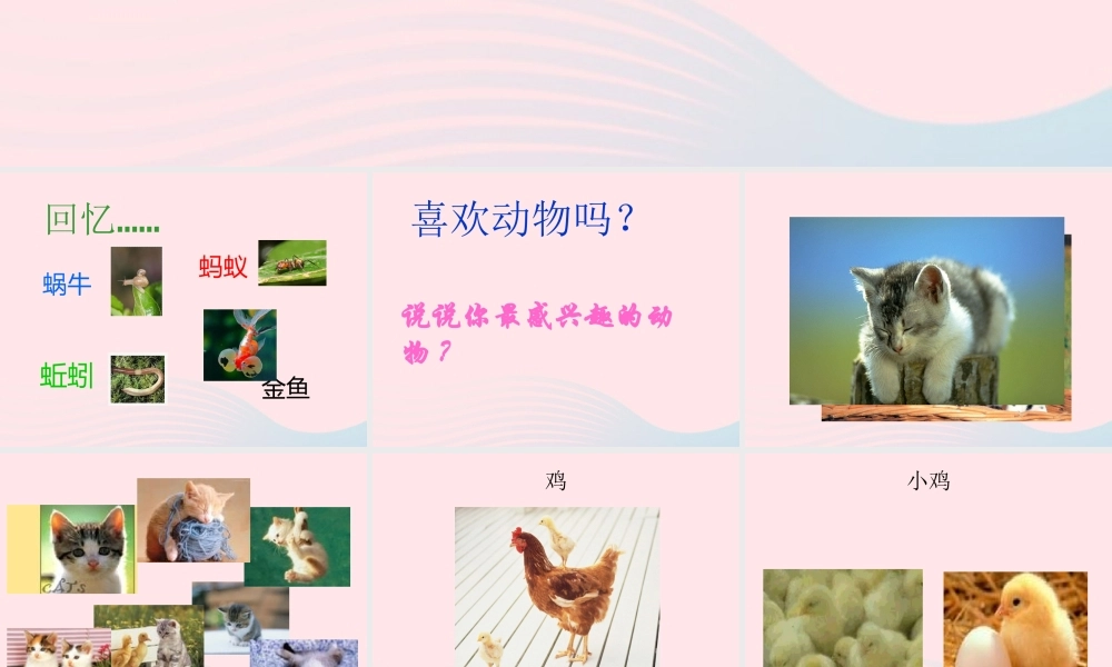 四年级科学下册 第四单元 生长与变化 第14课《小动物的生长》课件2 冀教版-冀教版小学四年级下册自然科学课件