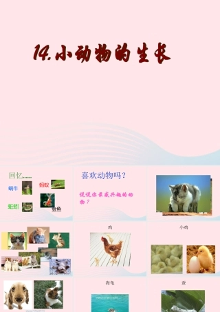 四年级科学下册 第四单元 生长与变化 第14课《小动物的生长》课件2 冀教版-冀教版小学四年级下册自然科学课件