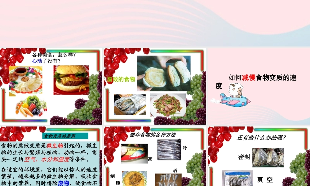 四年级科学下册 3 食物 6《减慢食物变质的速度》课件 教科版-教科版小学四年级下册自然科学课件