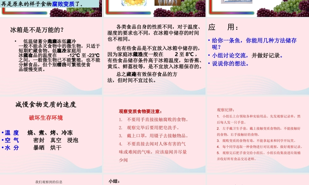 四年级科学下册 3 食物 6《减慢食物变质的速度》课件 教科版-教科版小学四年级下册自然科学课件