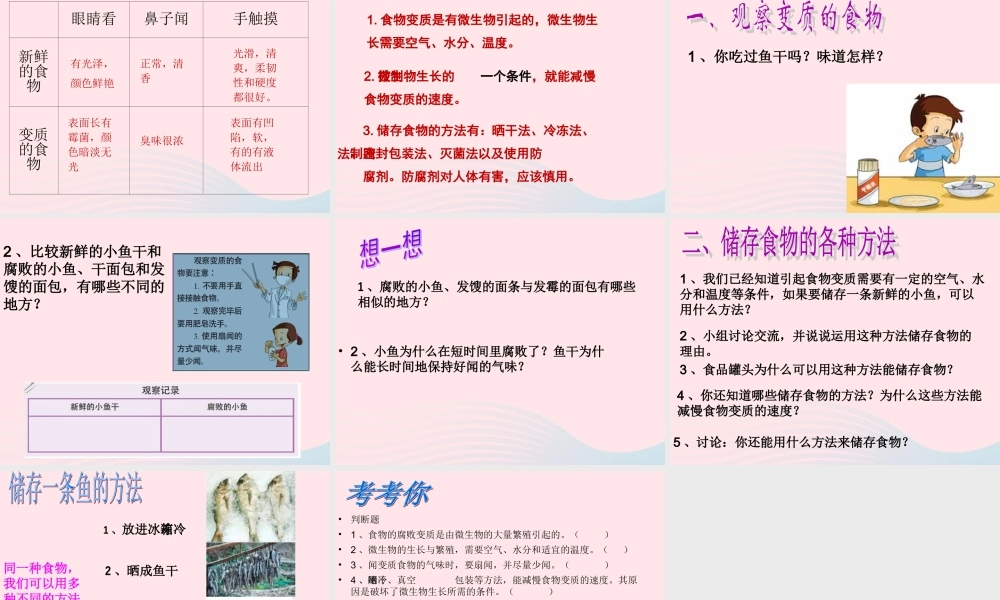 四年级科学下册 3 食物 6《减慢食物变质的速度》课件 教科版-教科版小学四年级下册自然科学课件