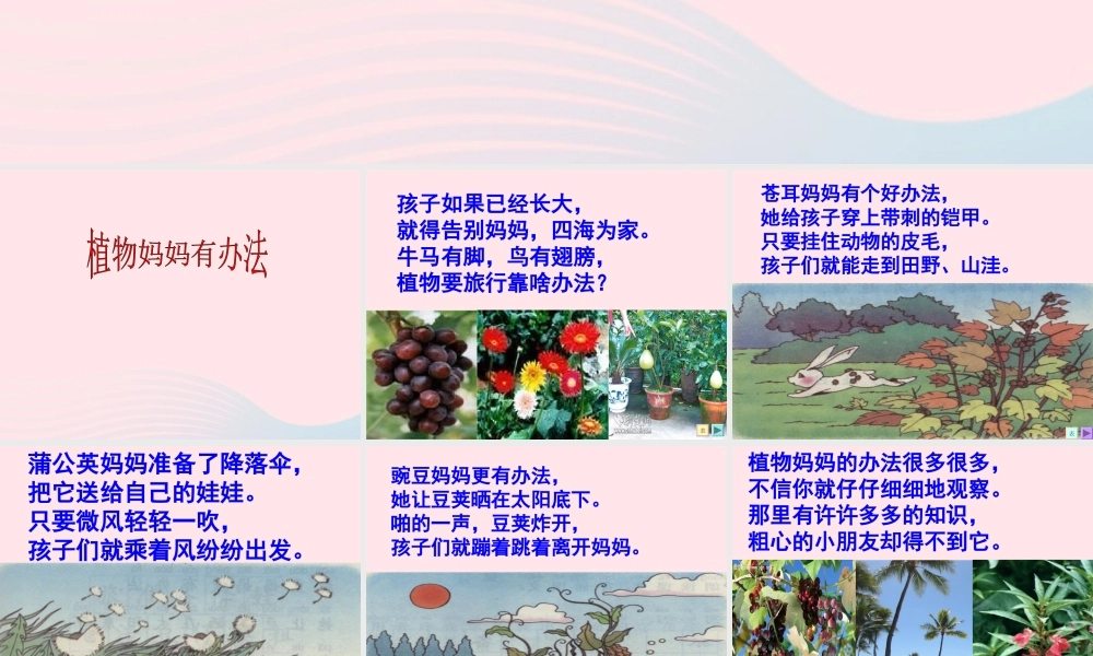 四年级科学上册 第一单元 植物的生活 第1课《植物的身体》课件（1） 青岛版五四制-青岛版小学四年级上册自然科学课件