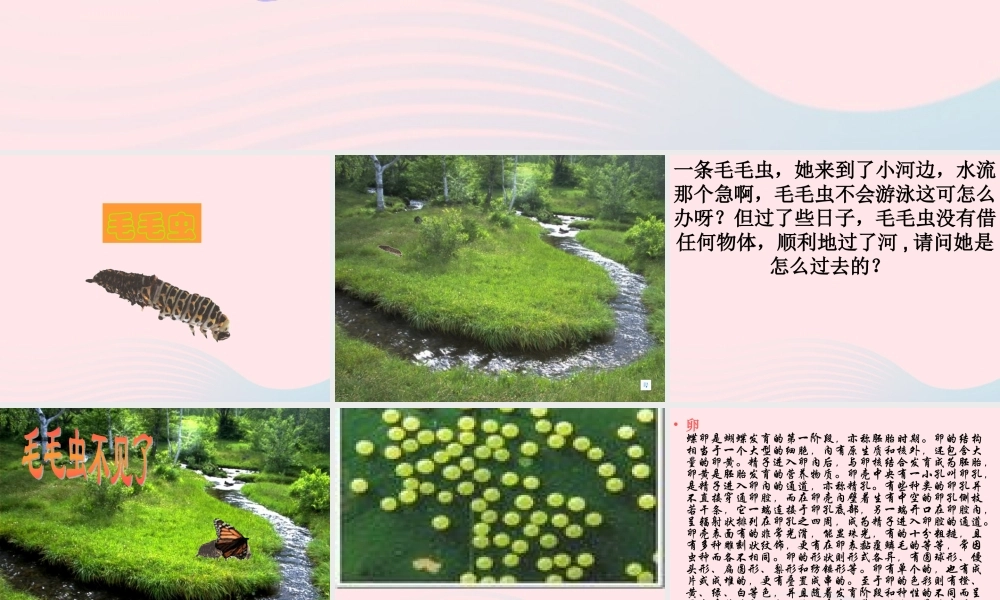四年级科学下册 第四单元 生长与变化 第15课《毛毛虫不见了》课件3 冀教版-冀教版小学四年级下册自然科学课件
