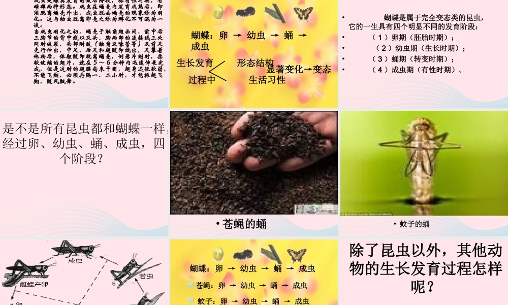 四年级科学下册 第四单元 生长与变化 第15课《毛毛虫不见了》课件3 冀教版-冀教版小学四年级下册自然科学课件