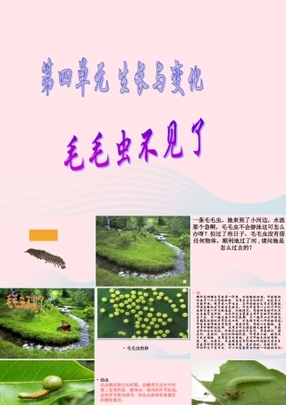 四年级科学下册 第四单元 生长与变化 第15课《毛毛虫不见了》课件3 冀教版-冀教版小学四年级下册自然科学课件