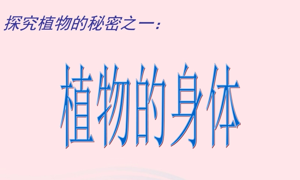 四年级科学上册 第一单元 植物的生活 第1课《植物的身体》课件（2） 青岛版五四制-青岛版小学四年级上册自然科学课件