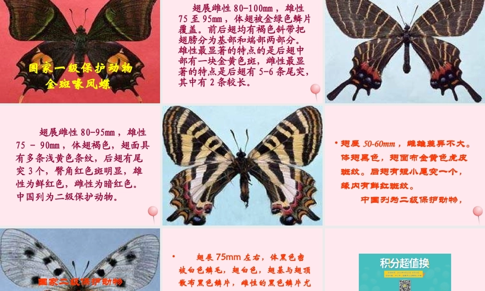 四年级科学下册 第四单元 生长与变化 第15课《毛毛虫不见了》课件4 冀教版-冀教版小学四年级下册自然科学课件