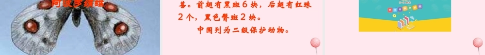 四年级科学下册 第四单元 生长与变化 第15课《毛毛虫不见了》课件4 冀教版-冀教版小学四年级下册自然科学课件